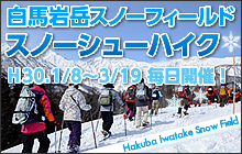2012白馬岩岳スノーハイク