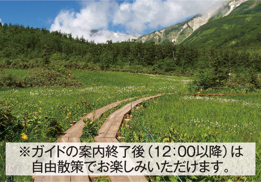 イメージ写真