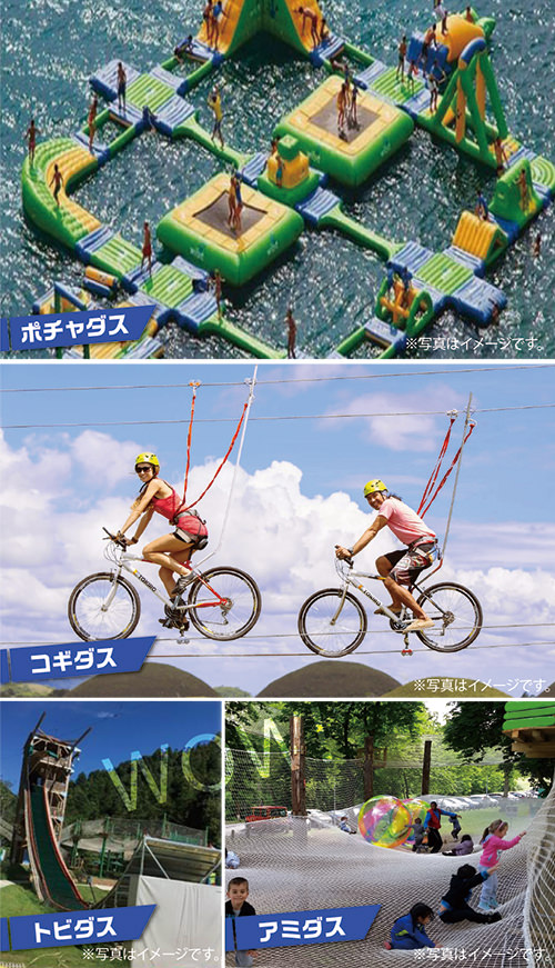 イメージ写真