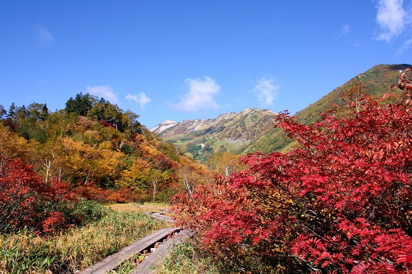 栂池自然園