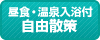 昼食・温泉入浴付　自由散策