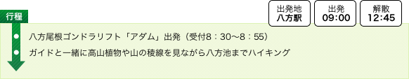 ルート図