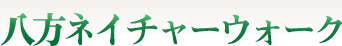 雲上の八方池を訪ねて