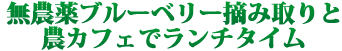 ブルーベリー